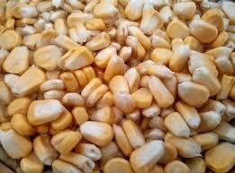 Fresh Frozen Corn for Consumption Brix 12 Up Worm Presence Free Origin South Africa Pesticide Residue Low Variety Super Sweet, 903 - Chezlynne Trading (Pty) Ltd  - South Africa