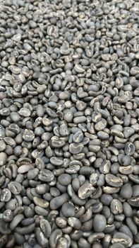 Arabica Gayo Grade 1, Origins: Indonesia. Price per kilogram (negotiable) Premium green coffee beans - Export Indonesia - Indonesia