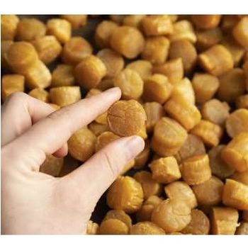 Sun dried cryogenic preservation Golden Feature Healthy Shelf Life 3 years Scallop Without Shell [100GRAMS] For Cooking - Sunshine Education And Food Imports - Singapore