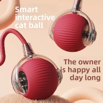 Pet Interactive & Movement Interactive Dog Toys Pet Supplies Jumping Ball Cat Toy - Hangzhou Hanfeihai Trading Co., Ltd - China