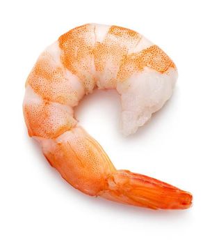 Frozen Seafood Net Count 6*0.800 Net Weight 6*0.800 Size Range 16/20-10 Treatment Eu - Netfish India - India