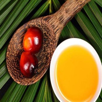 Wholesale Food Grade Palm Oil Refined Palm Kernel Oil Factory Supply Crude Processed Palm Olein for Frying Cooking Oil for Sale - Carla Pisselli Commercio - Brazil