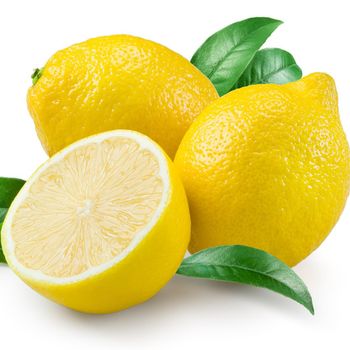 Eureka Lemon South African Fresh Premium Export Quality Citrus Bulk Supplier - NINE FRUITS EXPORTS (PTY) LTD - South Africa