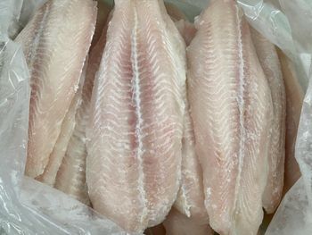 Healthy Frozen John Dory fillets skin on/off frozen fish fillets - VERTEX TRADING LIMITED - United Kingdom