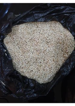 Natural white Sesame Seeds - N-Fizah Investments Limited - Nigeria