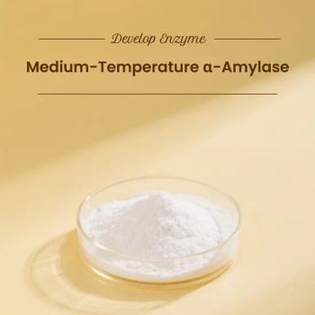 Factory Price Medium-Temperature Alpha-Amylase Enzyme for Bakery Industry Food Grade Baking Enzyme Manufacturer in China - Beijing Develop Biotech Co., Ltd. - China