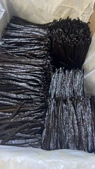 Premium Cured Vanilla Beans and Green Coffee Beans from Uganda - Afya Bora Foods Ltd - Uganda