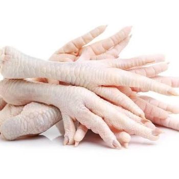 frozen chicken feet and paw - MAYIVA Food Company - Algeria
