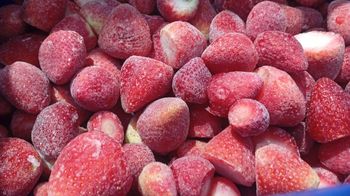 IQF Strawberries - INDAGRO for Food & Agri. Industries - Egypt