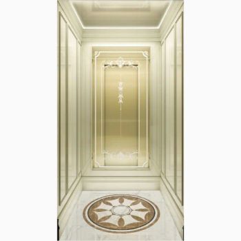 Single or Two Person Home Passenger Platform Lifts Elevator Vertically Wheelchair Lifting for Elderly - Foshan Yuexun Elevator Co., Limited - China