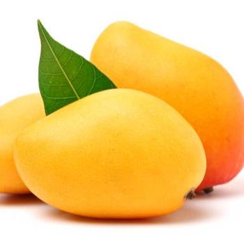 Premium Fresh Golden Mango Natural Sweet 100% - THAI MART INTERTRADE - Thailand