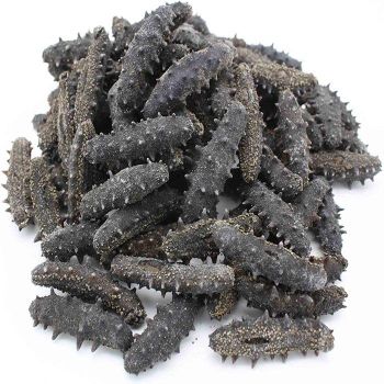 Natural Whole Dried Sea Cucumber Clean Processed Seafood Bulk Wholesale Low Cost - A.C.P. AGRICULTURE COMPANY LIMITED - Thailand