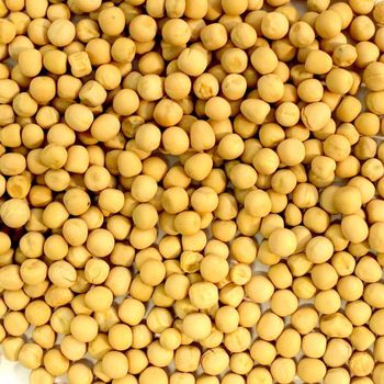Fresh White Peas Direct Supply White Peas Bulk Quantity High Nutrition Healthy White Peas For Sale In Bulk - malter group - Tanzania