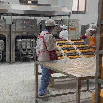 Key Features of an Advanced Industrial Breadcrumb Machine - Shandong Loyal Industrial Co., Ltd. - China