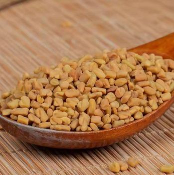 High Quality Fenugreek Seeds Wholesale Supply – Carefully Processed, Naturally Dried, and Rich in Flavor Spice Product Ideal for Cooking, Herbal Medicine, Food Manufacturing, and Nutritional Supplement Industries, Delivered in Bulk Quantities with Strict Quality Assurance, Reliable Packaging Solutions, and Stable International Export Standards for Consistent Business Supply ensuring freshness and traceability - agroturaspzoo - Poland
