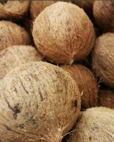 Coconuts – product photo, product card