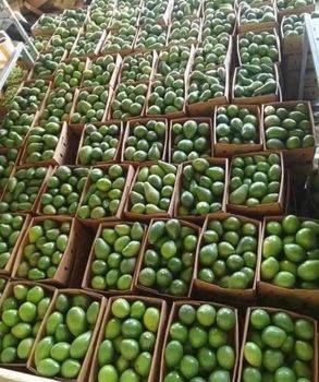 Avocados - Mike Ross - Pakistan