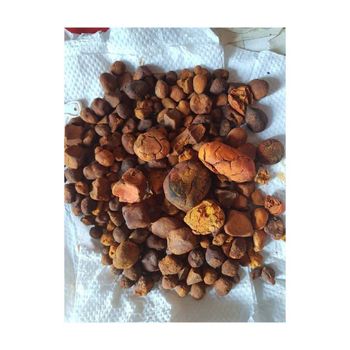 Natural and Pure top Quality Ox Gallstones Cattle Gallstones Cow Gallstones Buy Cow Gall Stones for sale - AMAC GOLD AND DIAMOND METALS SUPPLIER - Germany