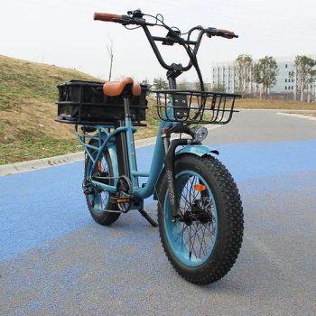 Wholesale Lithium Battery Bicycle with Basket New Model Two Seats Electric Bike - Changzhou Avelo Electric Technology Co., Ltd. - China