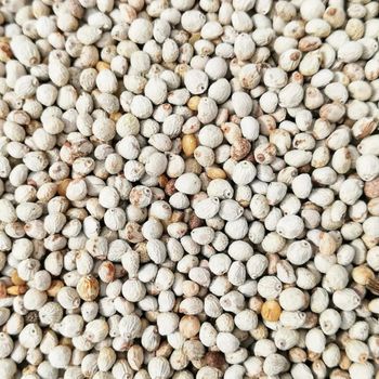 Selected Natural Whole Perilla Seeds Exported With Careful Sorting And Secure Packaging - malter group - Tanzania
