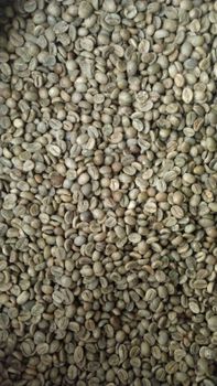 Arabic Green Cofee – product photo, Green Coffee Extract products found from trusted suppliers, wholesalers, manufacturers & exporters Listing