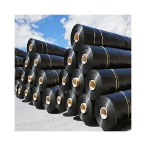 0.2mm 0.5mm 1.5mm 2mm HDPE Geomembranes Fish Pond Liner 500 Micron PE Geomembrane Water Storage Tanks Fishing Pond - Shandong Hongyue Engineering Materials Co., Ltd. - China