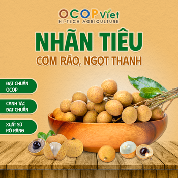 Nhãn Tiêu - Tieu Longan Brand Name OCOP Viet Place of Origin Vietnam Packaging Details - OCOP VIET COMPANY LIMITED - Vietnam