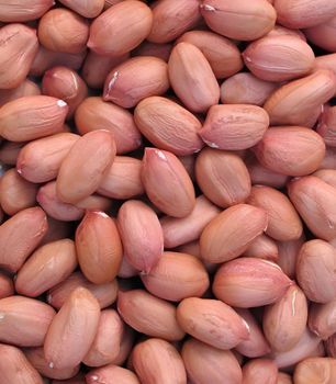 Groundnut Form Whole Origin India Organic natural Degree of Processing Natural - ceralis global - India