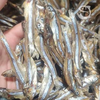 Medium Size Dried Anchovies Bamboo Raw Materials for Traditional Asian Cuisine Ingredient - AL JABLI TRADING COMPANY LIMITED - Tanzania