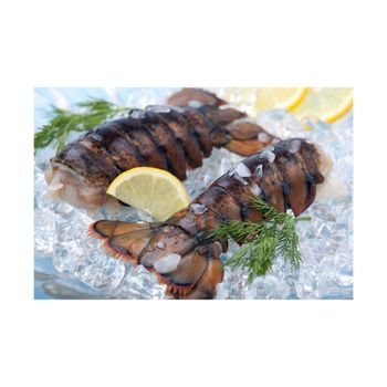 Low price frozen lobster tails positioned for bulk sale opportunities from MASI TRADING GMBH Low price frozen lobster tails positioned for bulk sale opportunities - MASI TRADING GMBH - Germany