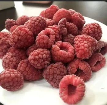 Premium IQF Frozen Red Raspberries for Global Distribution Shape Whole Grade Gradea Origin China Model NO. IQF Packaging Bulk - Heze City Mudan District Shengxinyuan Food Co., Ltd. - China