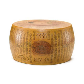 Parmigiano Reggiano 15 months whole wheel 38 kg Italian Hard Cheese - Consorzio Gourm.it - Italy