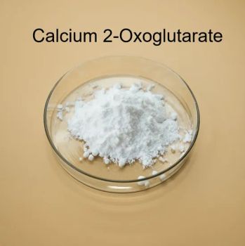 Anti-Aging Nutrition Enhancer Calcium 2-Oxoglutarate CAS 71686-01-6 - Wuhan Vanz Trade Co., Ltd. - China