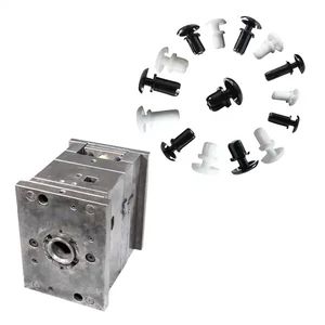 Plastic Moulding Service Buckle Injection Moulds Manufactured by Professional Molding - Shenzhen Smart Mold Technology Limited - China