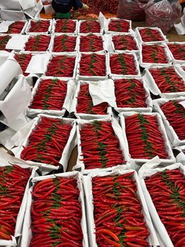 BIG RED CHILI from TERRA HUB LIMITTED COMPANY BIG RED CHILI - TERRA HUB LIMITTED COMPANY - Vietnam