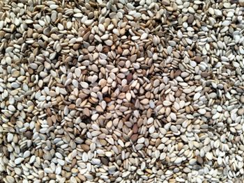 White Sesame Seeds - Wrangler Global Limited - Kenya