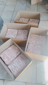 Organic Thigh Parts Whole Meat Quarter Legs Chicken Paws Frozen Chicken Feet Halal - BLAZRI  - Brazil