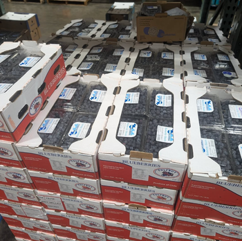 High Nutritional Fresh Blueberries | Product of Chile | 250g Packs & Private Label Available - Sosa Merchant Solutions - Austria