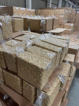 Cashew Nuts Form Whole Sourcing Carefully Sourced Degree of Processing Natural Versatility Suitable For Snacking, Salads, Smoothies, Desserts, And Savory Dishes - Jacobus Commodities - Namibia
