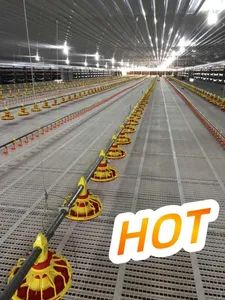 Innovative Poultry Farming Equipment for Enhanced Broiler Production - Raisetech Co., Ltd. - China