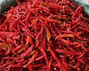 Dried Red Chili Peppers – Premium Export Quality Origin Nigeria Impurities Max 2% Moisture Content Max 12% Type Dried Whole Red - Odubanjo Golden Success Limited  - Nigeria