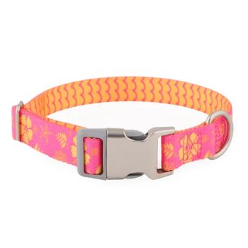 Customisable Outdoor Pet Products Dog Lead Accessories Nylon Dog Collar - WOR-BIZ INDUSTRAL PRODUCT CO., LIMITED (ANHUI) - China