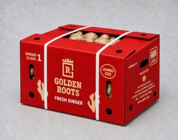 Golden Roots Jumbo Fresh Whole Ginger – 9 kg carton (GIN001) - AQJ Trading Limited - United Kingdom