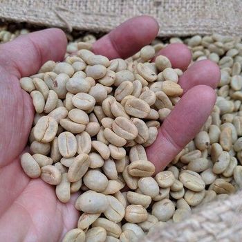 Whole Bean Coffee | Best Roasted Coffee Beans Online |Whole Bean Coffees are Directly Sourced and Halal from VERTEX TRADING LIMITED Whole Bean Coffee | Best Roasted Coffee Beans Online |Whole Bean Coffees are Directly Sourced and Halal - VERTEX TRADING LIMITED - United Kingdom
