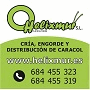 Product - HELIXMUR - Spain