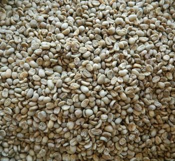 Arabica Coffee Green Beans - Java Energy Indonesia - Indonesia