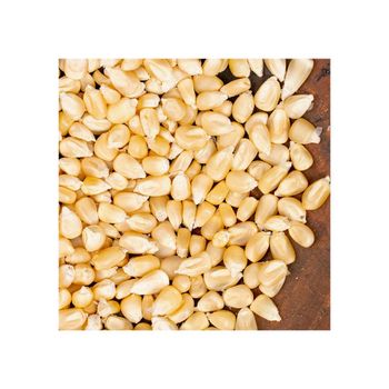 Bulk supply white corn premium quality maize export ready packaging - HIGHPROFILE AGRICULTURE SERVICES LIMITED - Tanzania