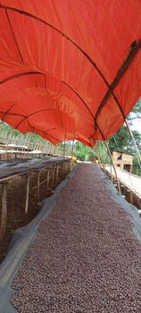 ETHIOPIA COFFEE – product photo, Ethiopia Coffee Bean products found from trusted suppliers, wholesalers, manufacturers & exporters Listing