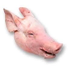 FROZEN Pork Head Bulk 100% Natural Organic Grade a Ready for Shipment Any Port of Your Choice - N.G westen holding B.V - Netherlands