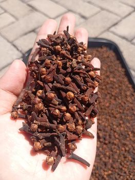 Cloves lar pari grede ab6 from putra spices global Cloves lar pari grede ab6 - putra spices global - Indonesia
